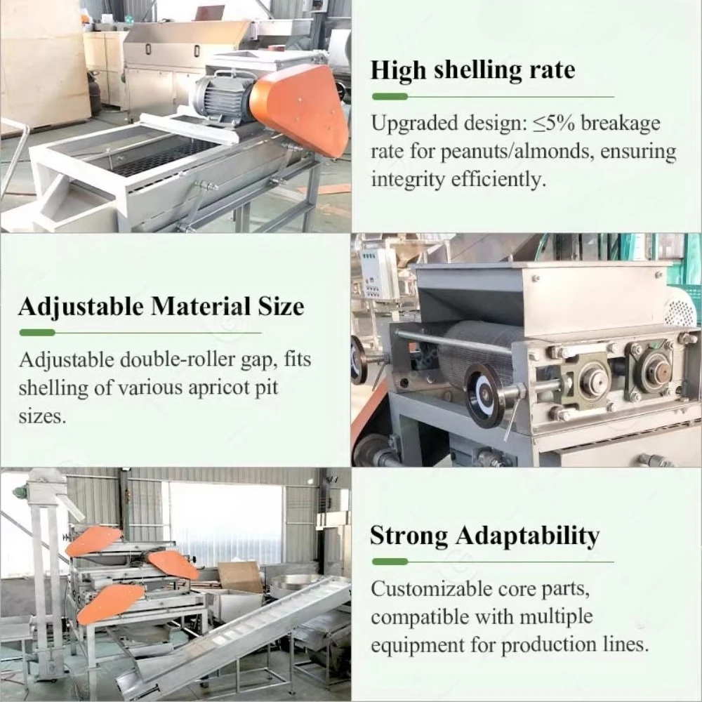 Kernel Automatic Sorting Remove Palm Nut Hazelnut Crushing and Almond Shell Separation Machine to Sale