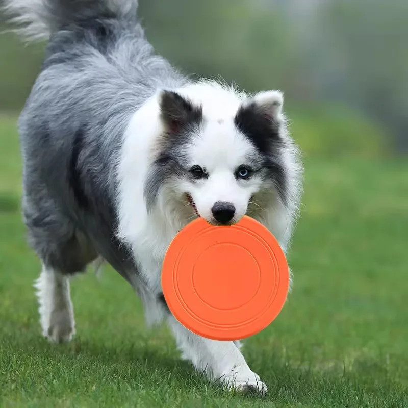 Frisbee d'entraînement durable - Frisbee Freestyle Disc avis et prix