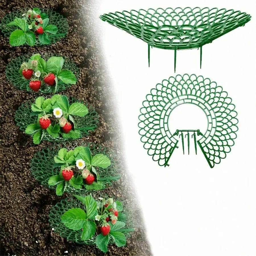 2pcs Strawberry Plant Support System with 4 Sturdy Legs Growing Racks Frame Indoor Garden Berry Organizer Clean Berries Storage