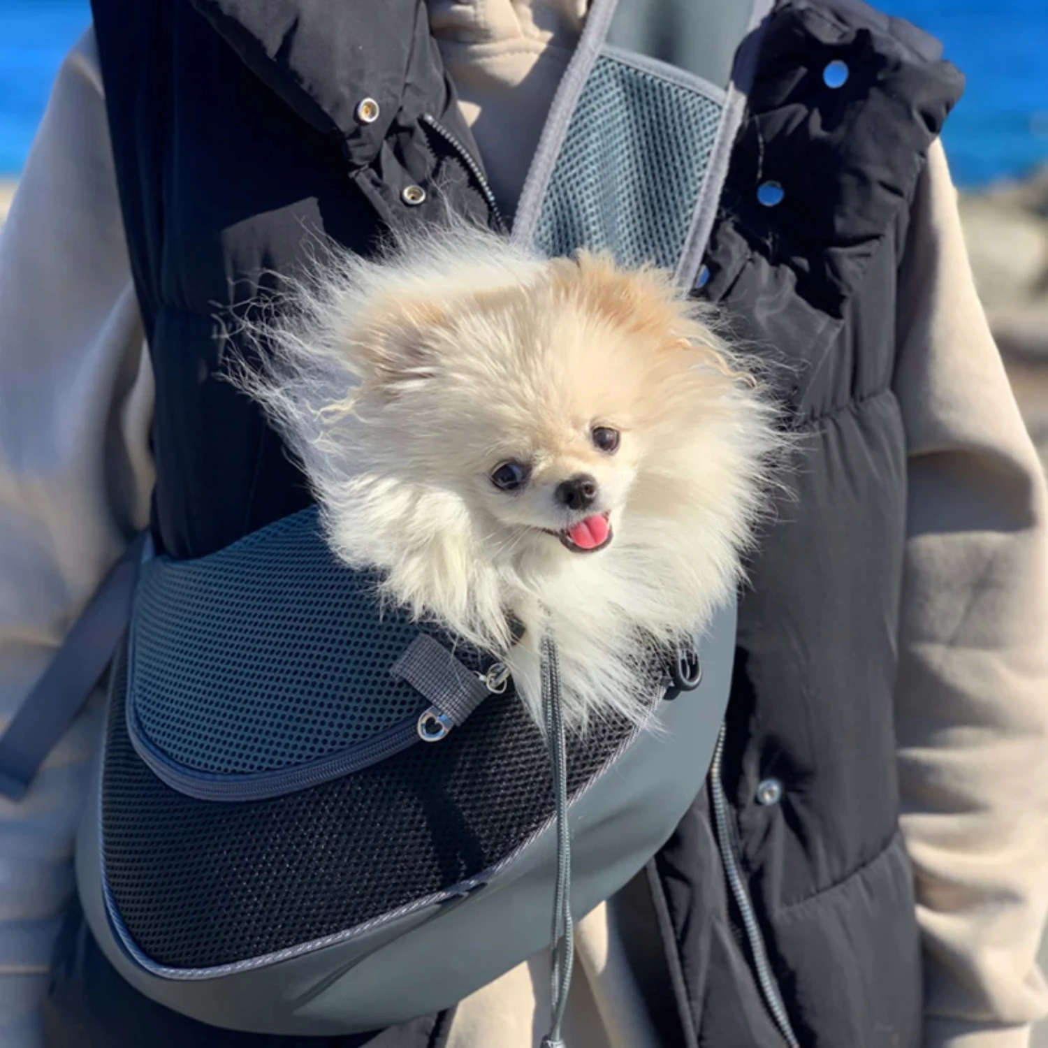 Sac à main en maille Oxford pour animaux de compagnie, fourre-tout pour chiot, sac à bandoulière confortable unique, Electrolux S ou L, voyage en plein air, chien initié