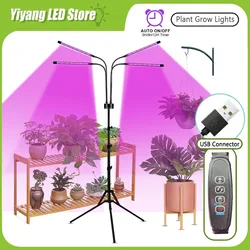 Lámpara LED de crecimiento de plantas USB, Bombilla hidropónica de espectro completo, temporizador de atenuación de plantas de interior, fitoamplificador de flores, luz de invernadero