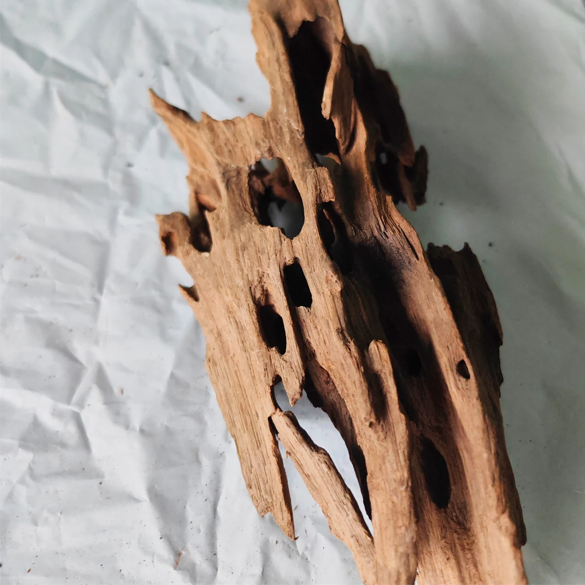 aquarium background Shrimp wood aquarium wood big Tree Trunk Wood Fish Driftwood Landscape Natural Plant aquário acessórios