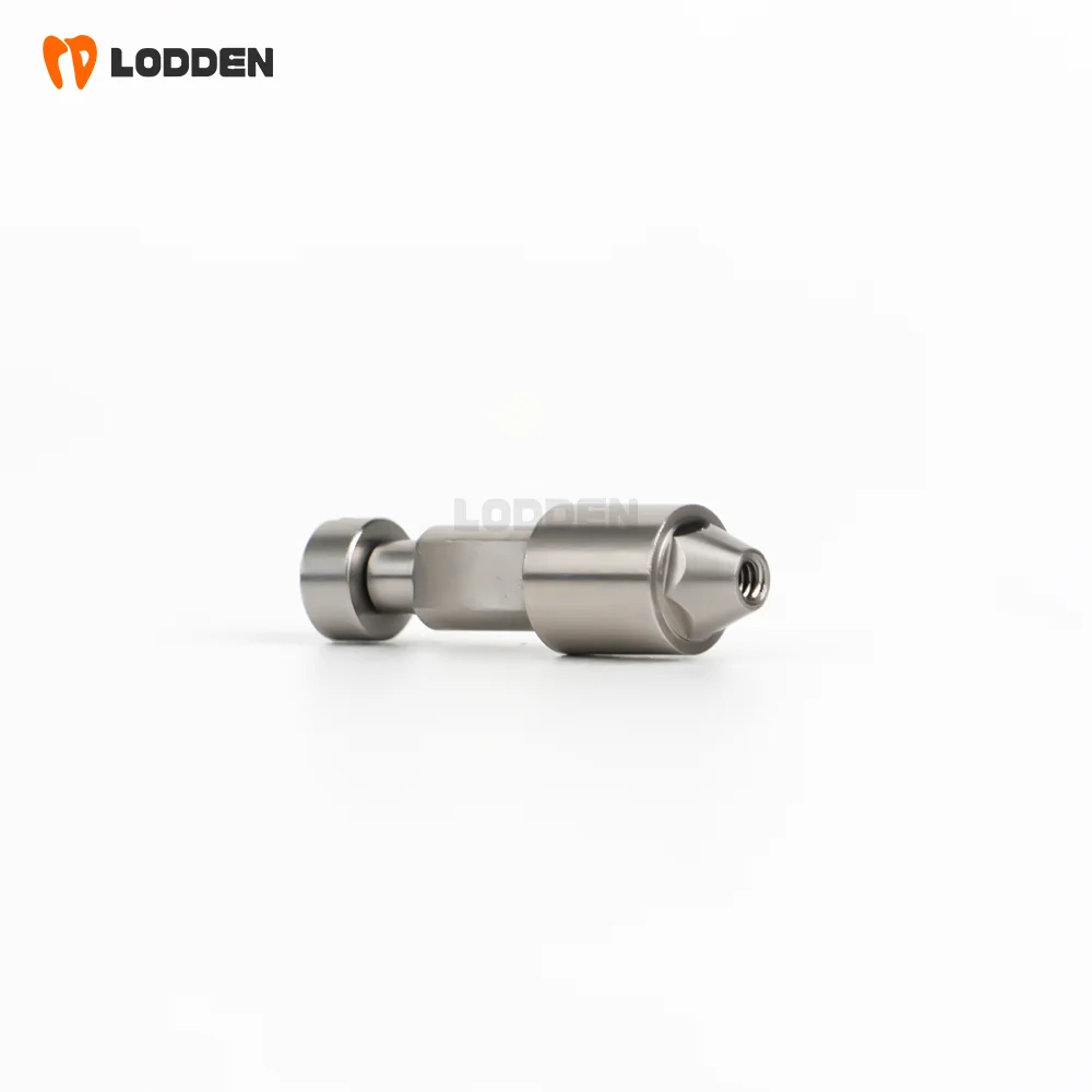 5PCS Lodden 5Pcs De…