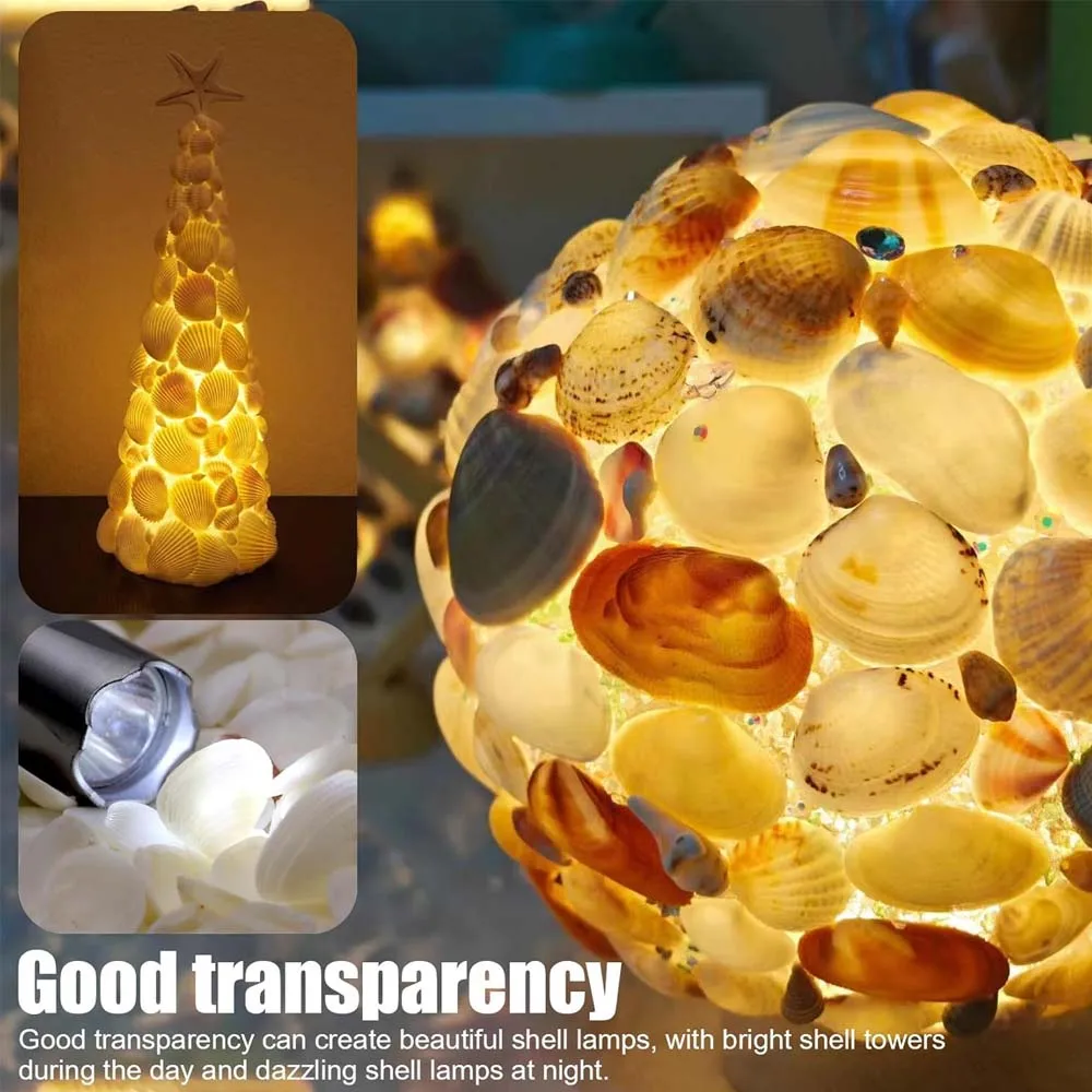 Thumbnail 2 - #16 Latest Vase Fillers Offers