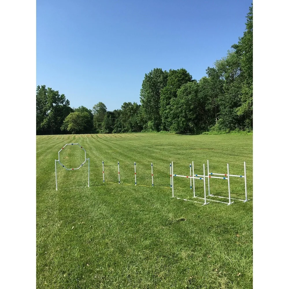 Dog Agility Equipment Deluxe Beginner Set 3 Bar Jumps 6 Weave Poles 1 Octagon Hoop Jump Agility Course for Dogs