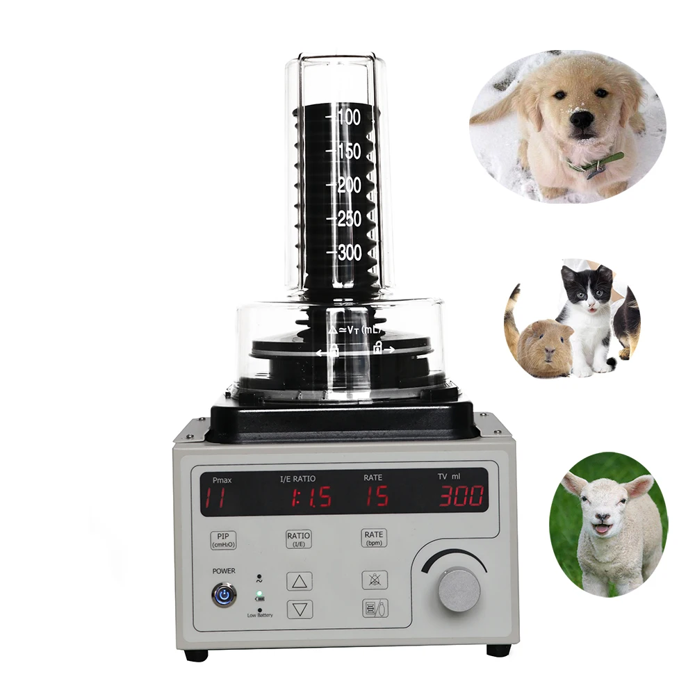 

Veterinary Anesthesia Machine AMDA600V Veterinary Anesthesia Pet Anesthesia System Portable Ventilators Machine for Animal
