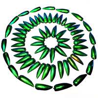 50 Pieces Jewel Beetle Elytra Emerald Green Real Elytron Wings Natural Insect Coleoptera Handmade Necklace Set DIY Earrings