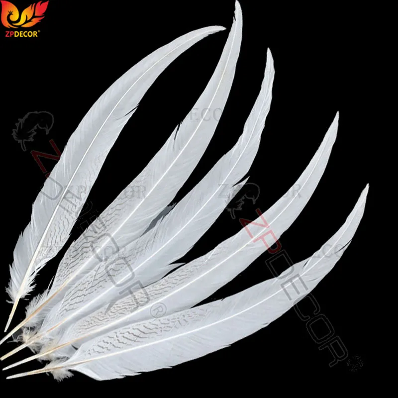 60-65 CM 24-26 Inch Silver Pheasant Tail Feathers Color can be custom