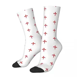 Wilier Triestina Fahrrad Socken männliche Herren Frauen Sommers trümpfe Polyester