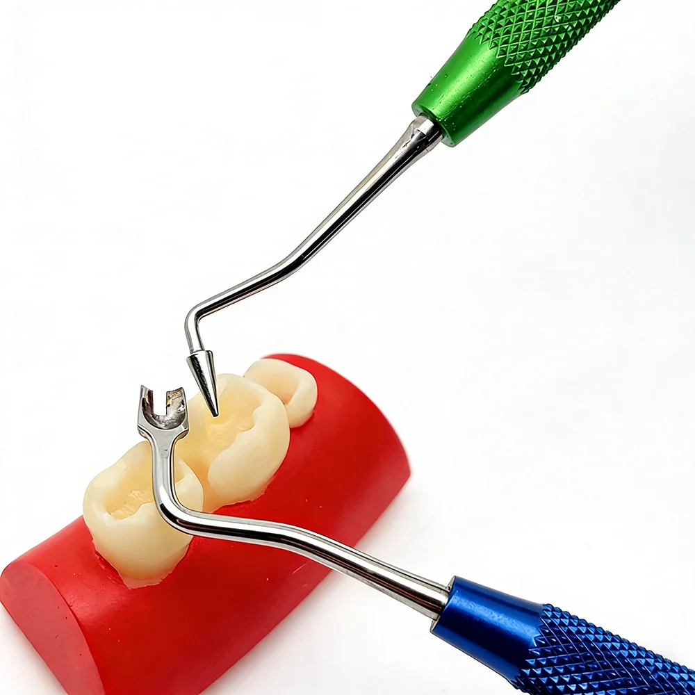 

Dental Resin Filling Spatula Dental Aesthetic Restoration Replica Posterior Teeth for Simplifying Occlusal Modeling Tools