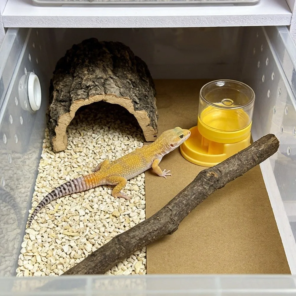 Reptile Automatic Water Dish 4