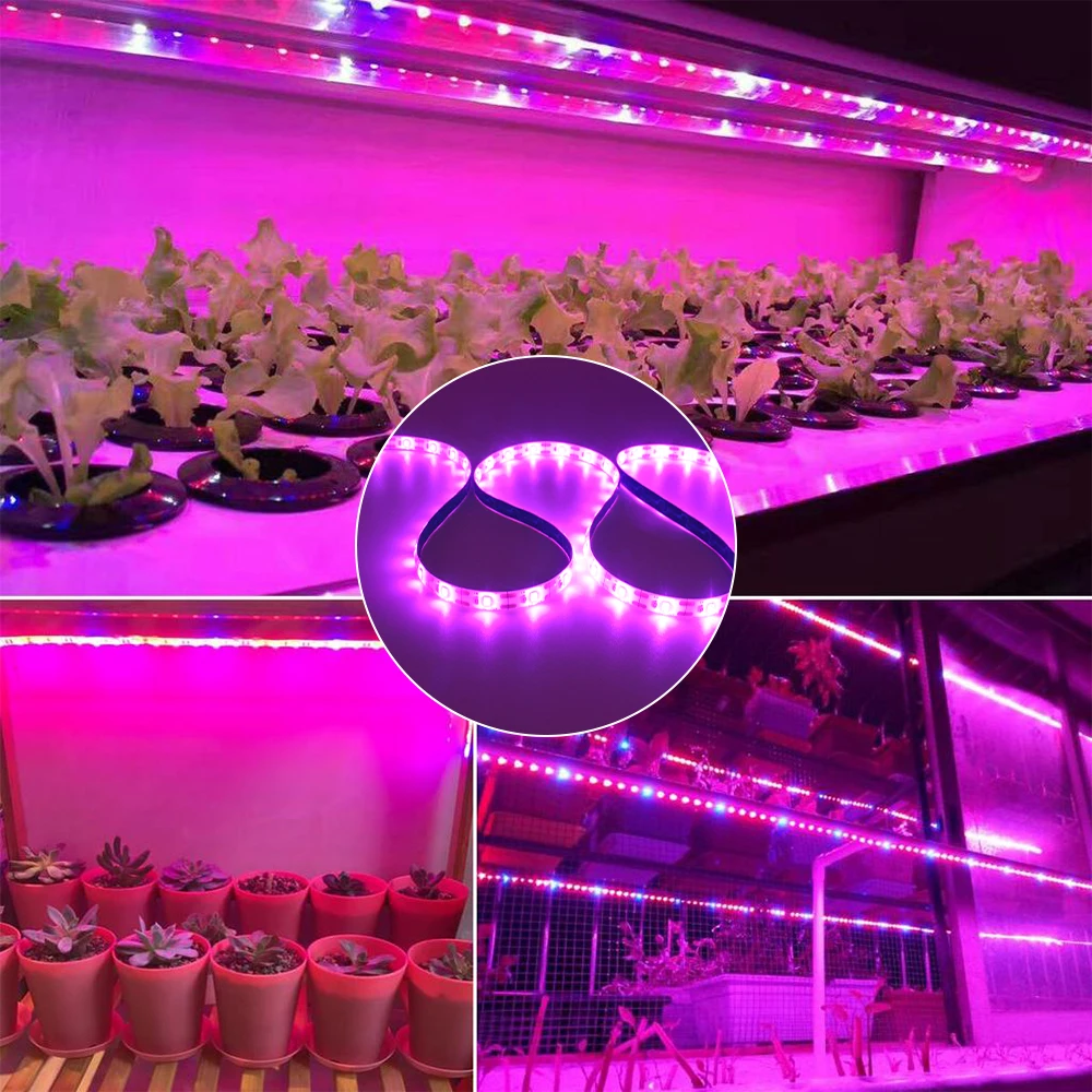 USB LED Plant Grow Light Strip 5V Full Spectrum Plant Growth Light Greenhouse Phytolamp for Plants Hydroponics Growing System