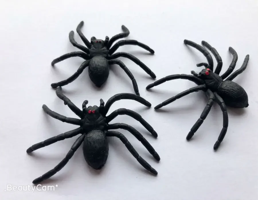 Outdoor Fun Sport Halloween Simulatie Spider Fly Kakkerlak Prank Speelgoed Nieuwigheid Gag Speelgoed Verjaardagscadeau voor vriend of kinderen