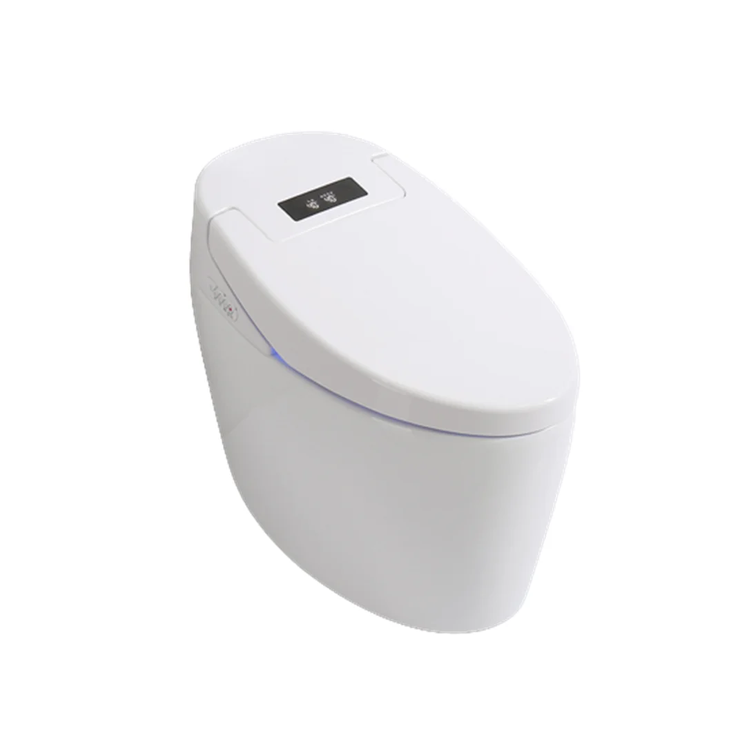 Luxury Toilets With Washing System Instant Hot Type Washing and Drying Smart Toilet