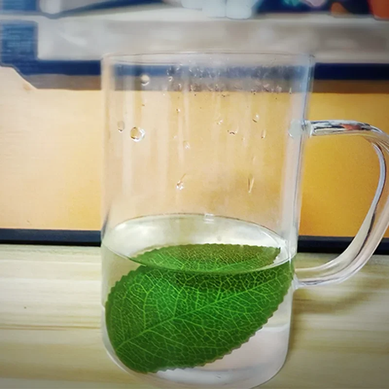 Leaf To Fish By J.C…