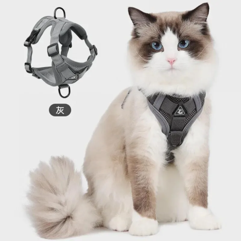 Modne odblaskowe zestawy uprzęży i smyczy dla kotów Oddychające siatkowe uprzęże dla małych psów Koty Koty Akcesoria collier chat
