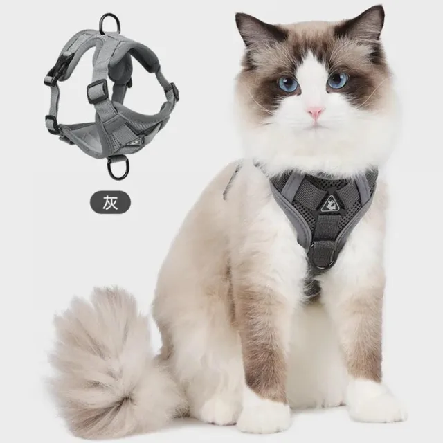 Modne odblaskowe zestawy uprzęży i smyczy dla kotów Oddychające siatkowe uprzęże dla małych psów Koty Koty Akcesoria collier chat