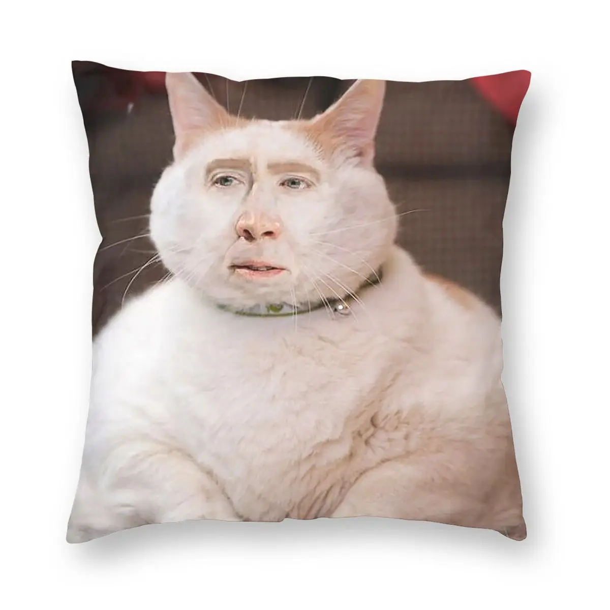 

Nicolas Cage Cat Square Pillowcase Cushion Cover Comfort Pillow Case Throw Pillow Cover for Home Sofa Living Room