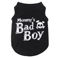 Bad Boy