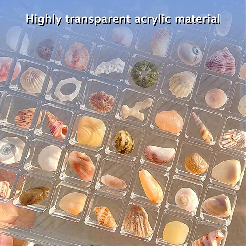 36/64/100 Grids Desk Organizer Acrylic Seashell Display Box with Magnets Starfishs Trinket Storage Case for Bead Nail Jewelry