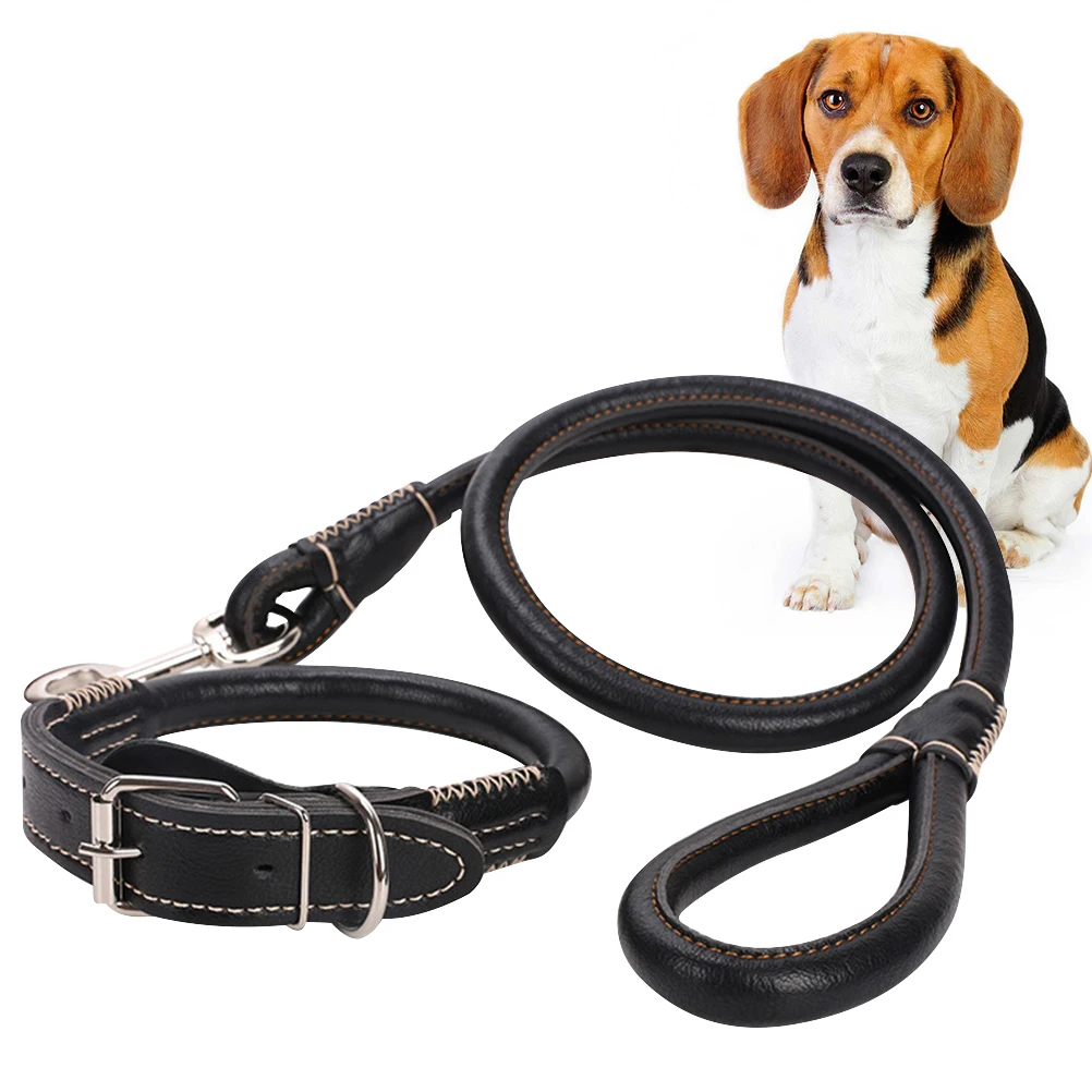 

Durable Nylon Pet Neck Strap Adjustable Traction Strap For Dogs Puppy Strong Pulling Rope Comfortable Fit Cute Design Black Size
