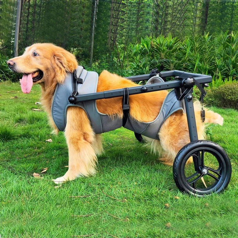 عربة مساعدة للمشي لإعادة تأهيل الكراسي المتحركة المتوسطة والكبيرة، مساعدة الطاقة، سكوتر التنقل للكلاب الأليفة