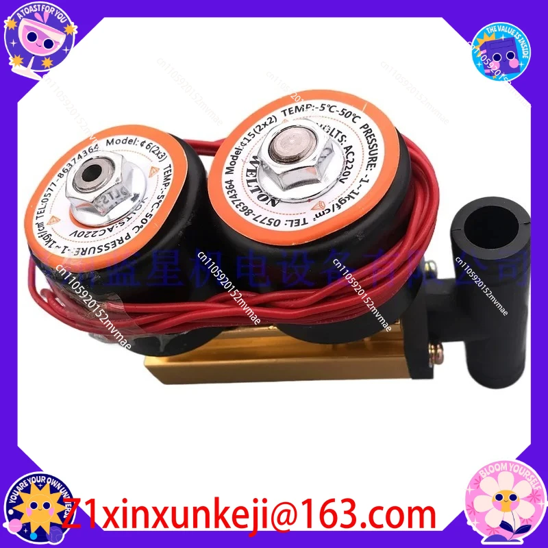 Vacuum Solenoid Valve for Vacuum Packaging Machine 6(2X3) 15(2X2)