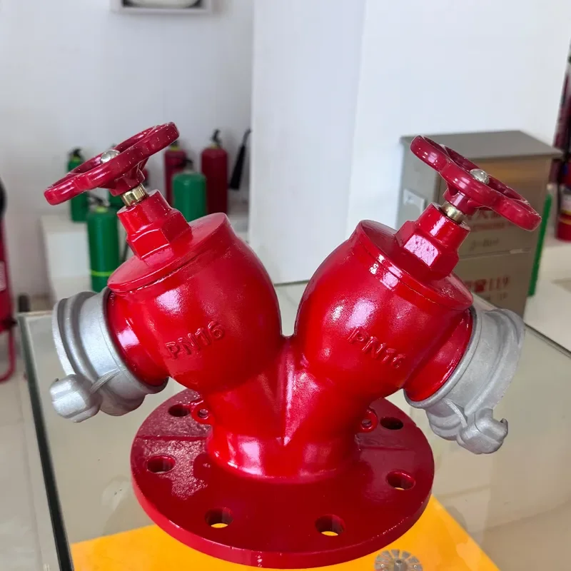 Double Valve Double Outlet Indoor Fire Hydrant DN65 Ductile Cast Iron PN16 for Building Fire Protection System Custom Logo
