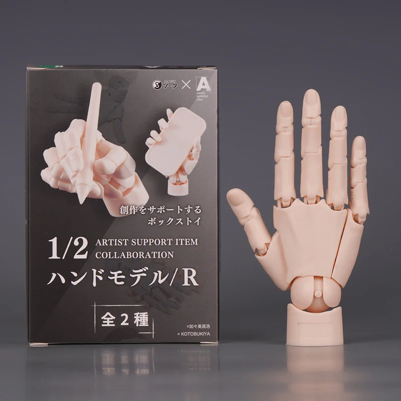 صندوق زينة محلي فائق الحركة 1/2 نموذج يدوي مع حامل خاص للرسم والرسم، بيضة ملتوية قياسية لليد اليمنى