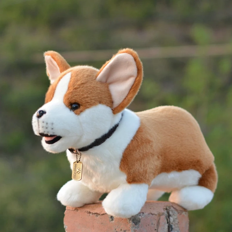 

Quality Simulation Animal Corgi Dog Plush Toys Big Welsh Puppy Stuffed Animals Doll for Children Birthday Gift 49cm DY10086