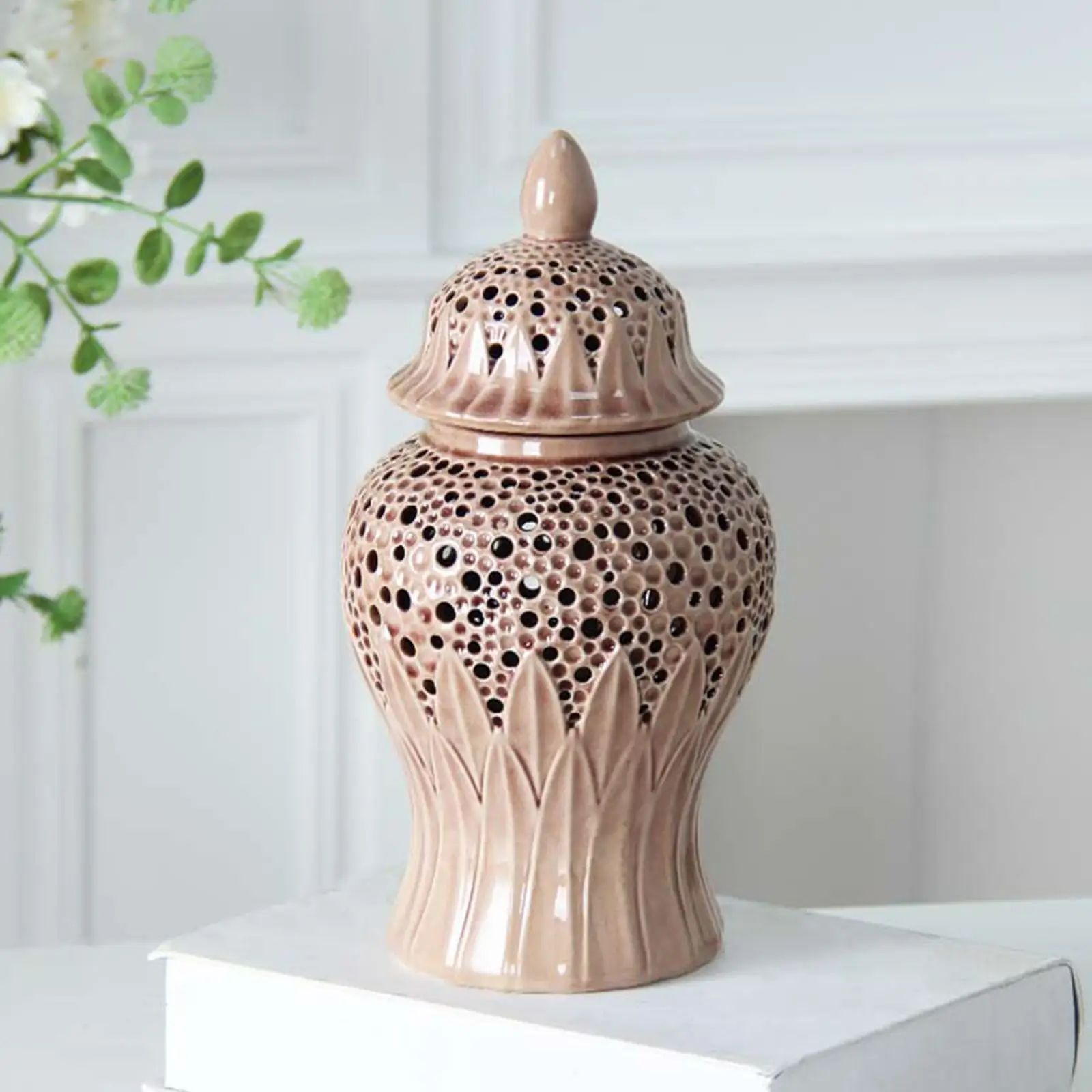 

Porcelain Ginger Jar Ceramic Vase Storage Tank Ornaments Display Organizer Tea