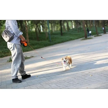 New Adjustable Durable 3/5/8m Retractable Dog Leash Roulette Collar for Small Big Dogs - Walking, Hiking, Bulldog Accessories 3
