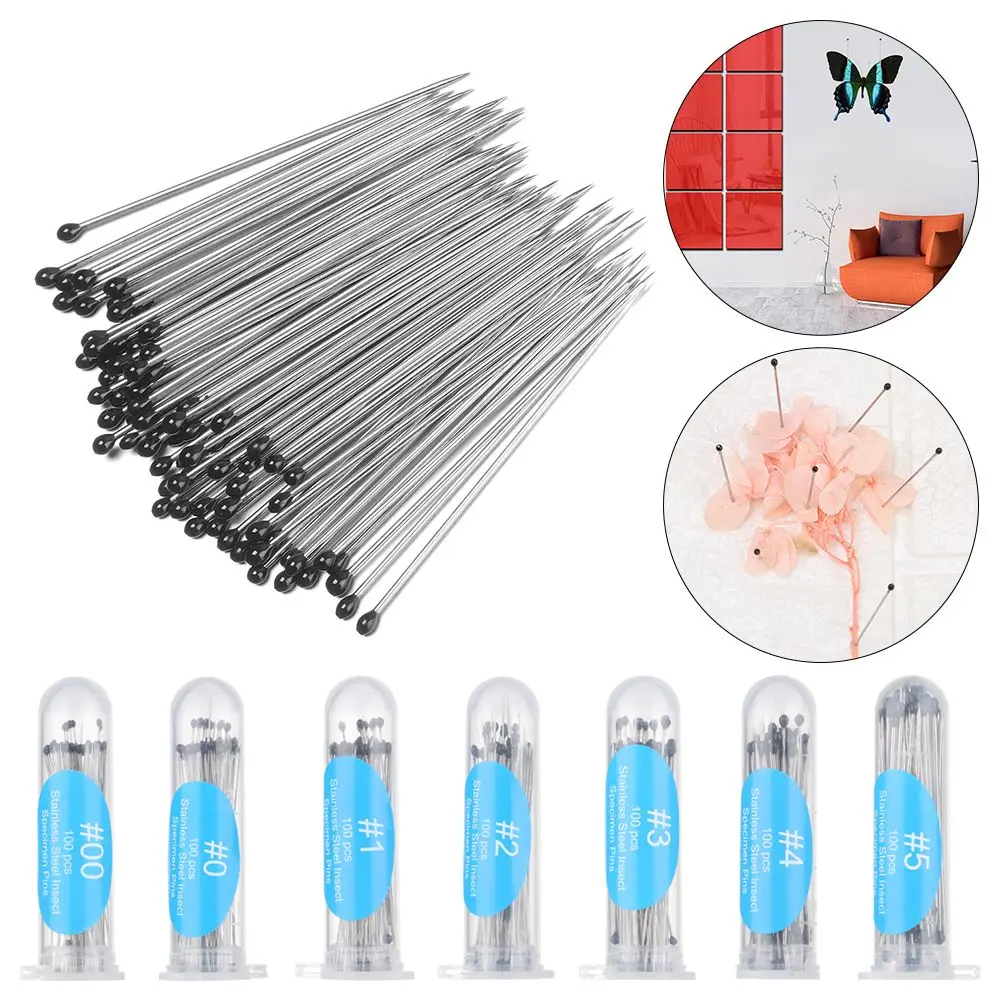 100Pcs Stainless Steel Specimen Pins High Hardness Needle Good Flexibility Pin Entomology Education Sharp Tip Lab Accessories