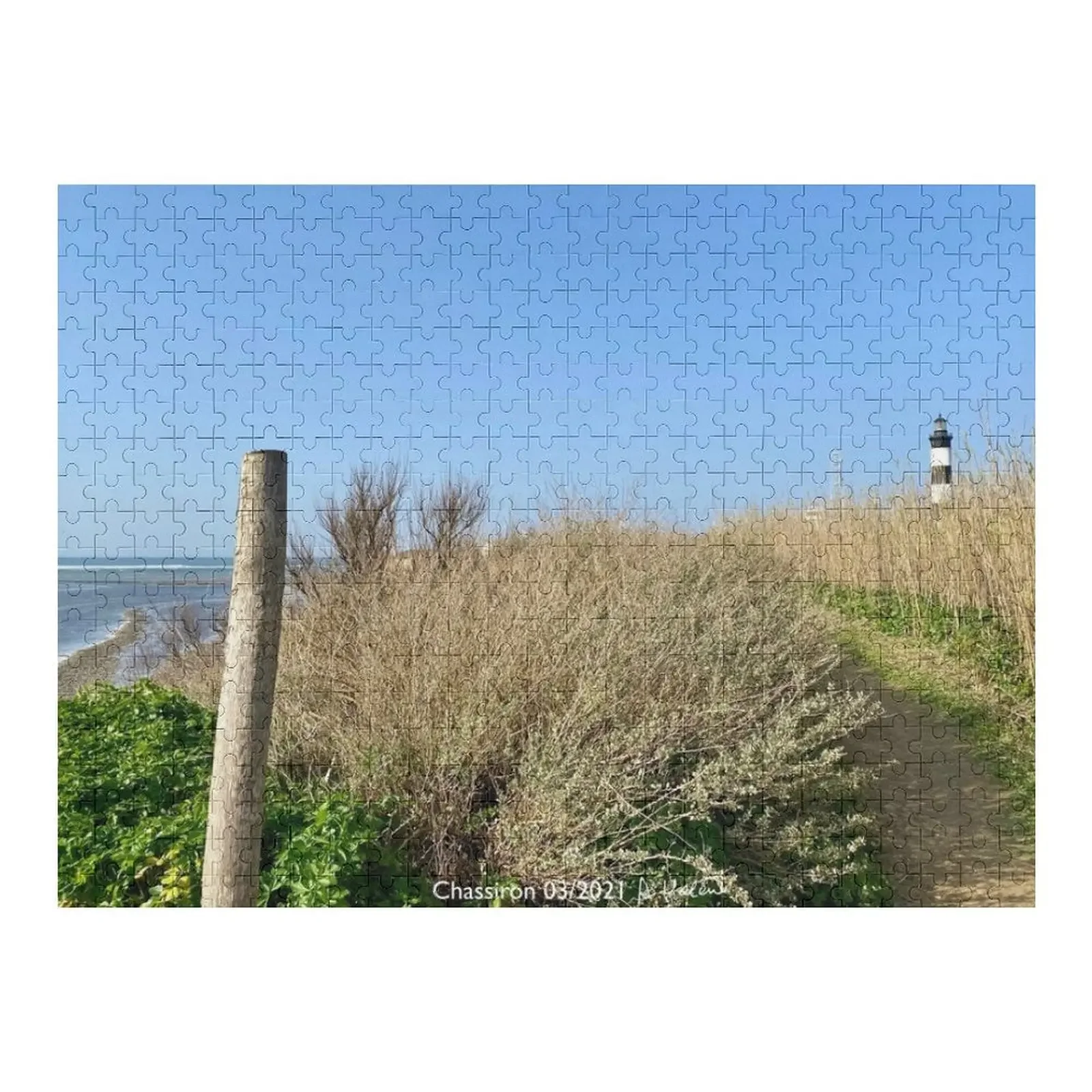 

Chassiron (Oleron) Франция Пазл на заказ для детей Подарок ребенку Пазл с животными