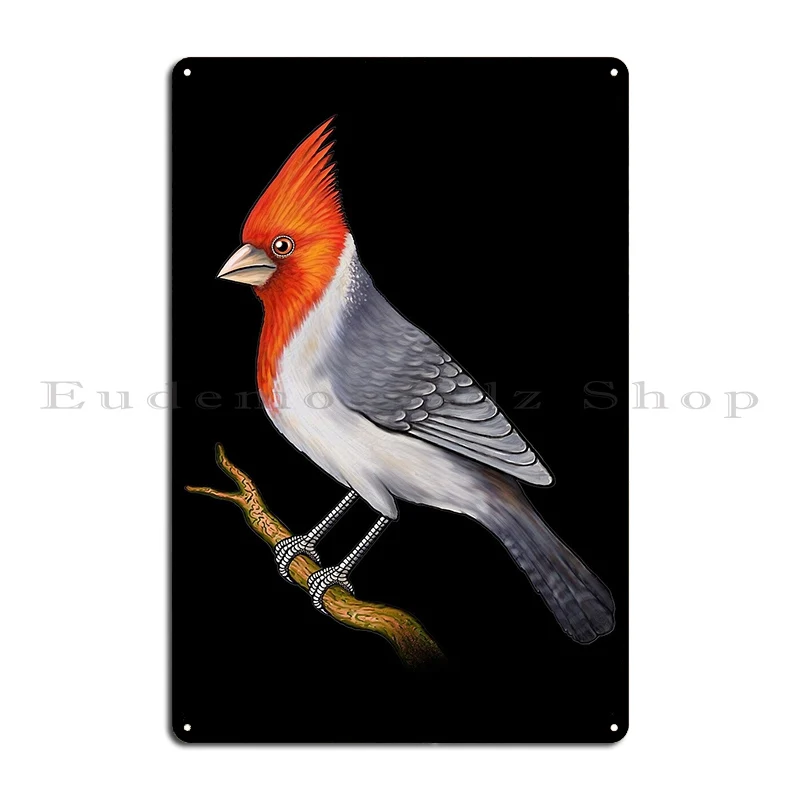 Red Crested Cardinal Bird Cute Red Crested Cardinal Cool Red Crested Birds Metal Plaque Cinema Living Room Tin Sign Poster