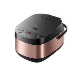 220v 220V Electric Rice Cooker 5L Large Capacity Multi-function Intelligent Reservation Metal Body Household Rice Cooker Riz