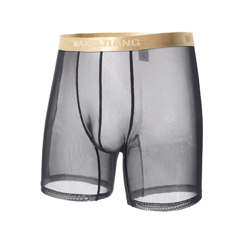 

Sexy Men's Leg Trunk Ice Silk Mesh See Through Thin Breath Comfort Quick Dry Cool Feel Boxy Youth Low-rise Sheer Trunk