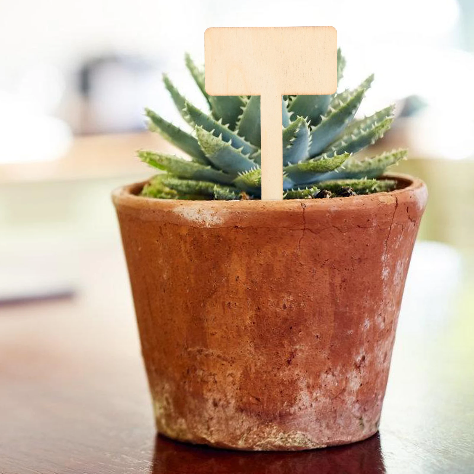 

20pcs Wooden Plant Labels for Succulents Garden Markers Signs Moss Stakes Beige Accessories Flower Tags