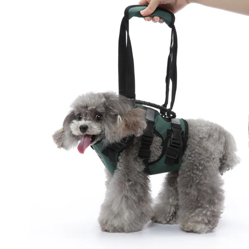 

Pet Multifunctional Dog Chest Strap Traction Rope Pet Getting On The Car Going Upstairs Walking Uphill Auxiliary with Belt