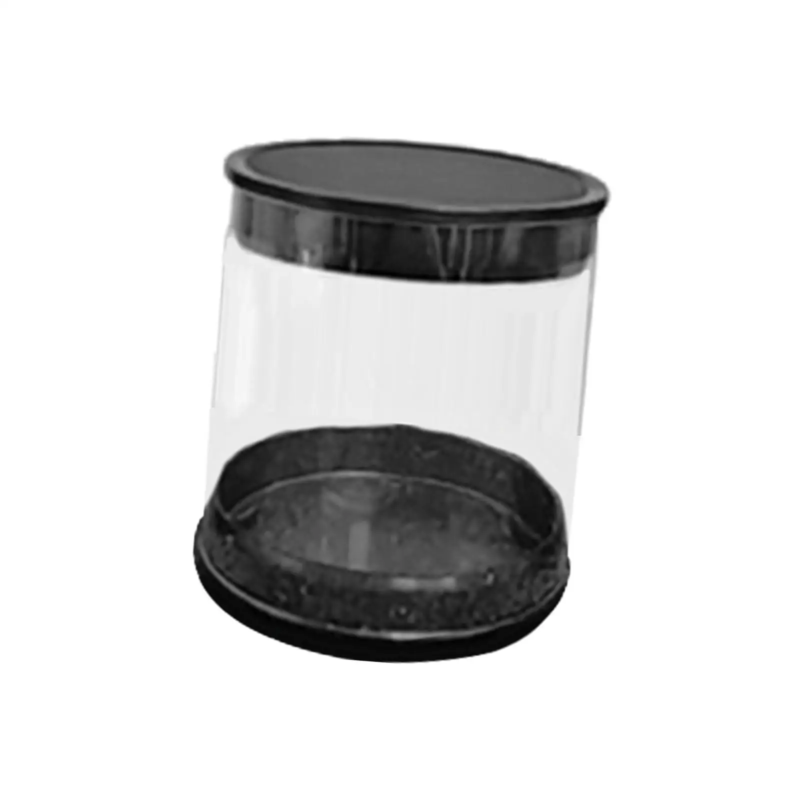 PC Material Golf Ball Storage Tube Clear Round Holder Golf Ball Case for Women Men Golfer Gifts