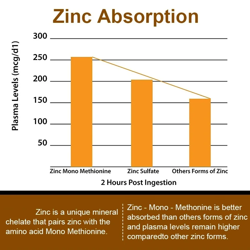 Capsule Ptvse Zinc 50mg per supporta la produzione di energia cellulare e la formazione di collagene, supporto del sistema immunitario