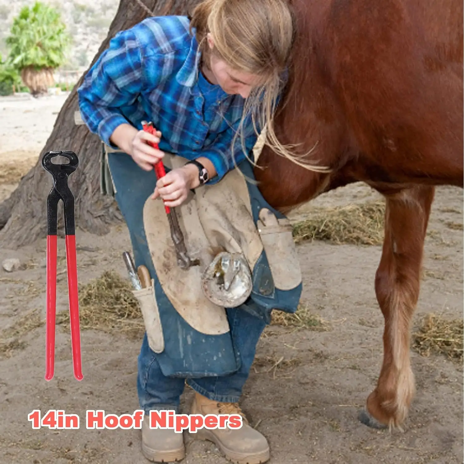 Farrier Tools Professional Farrier Tool Kits Hoof Rasp Hoof Nippers Hoof Knife Horses Hoof Trimmers Tools Suitable for Hoof Trim