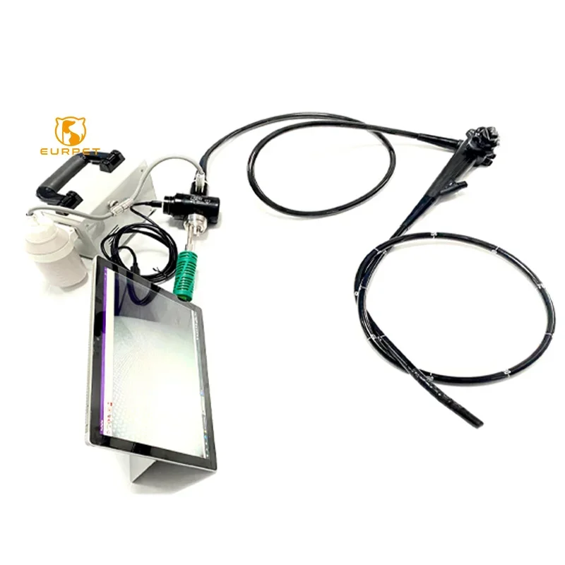 EUR PET Best Price Flexible Video Colonoscope Endoscope Olympus Fiberoptic Tower Colonoscope With Gastroscope Endoscope