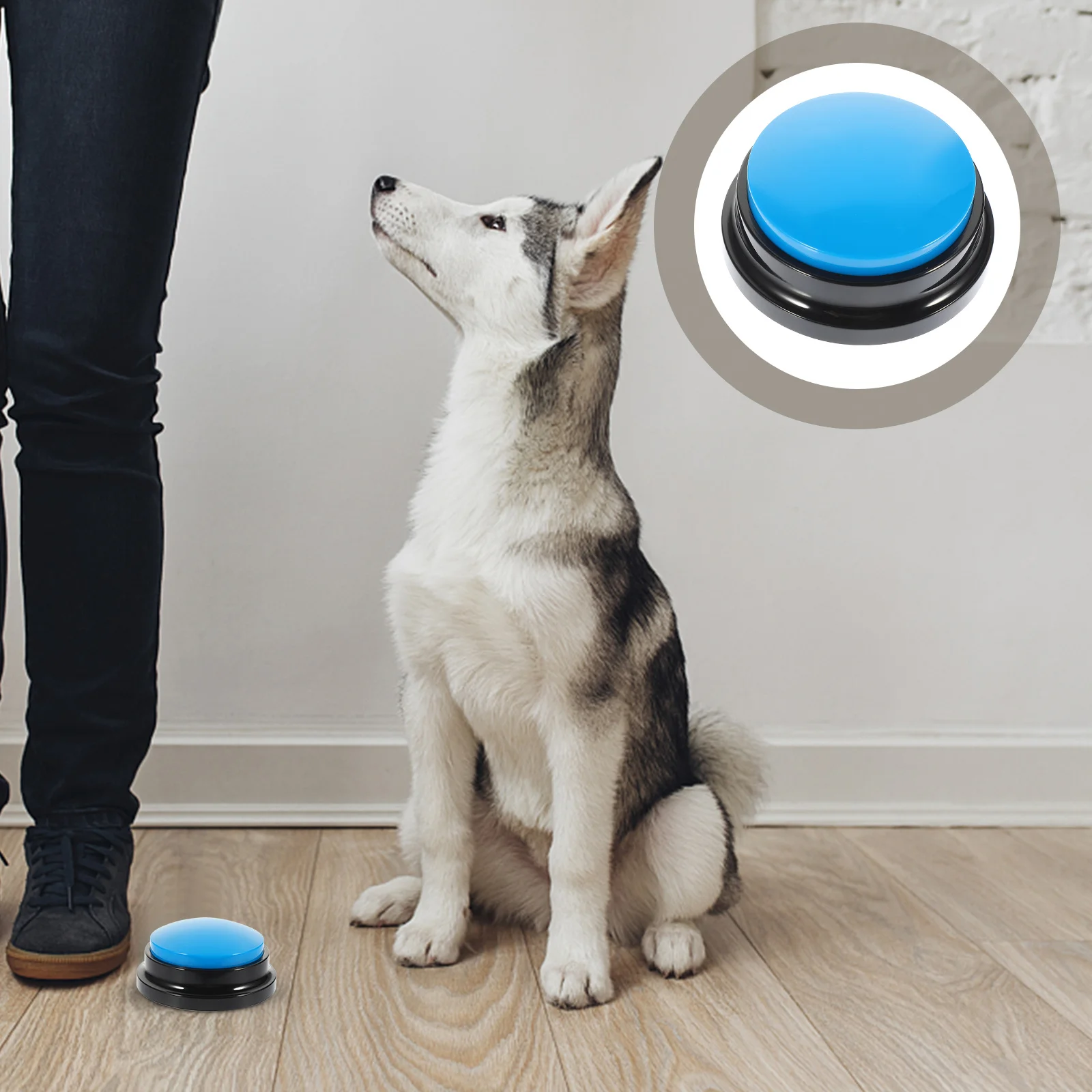 

Dog Button Interactive Recording Sound For Training Destructive Behavior Reduction Puppy Chewing Play Buzzer