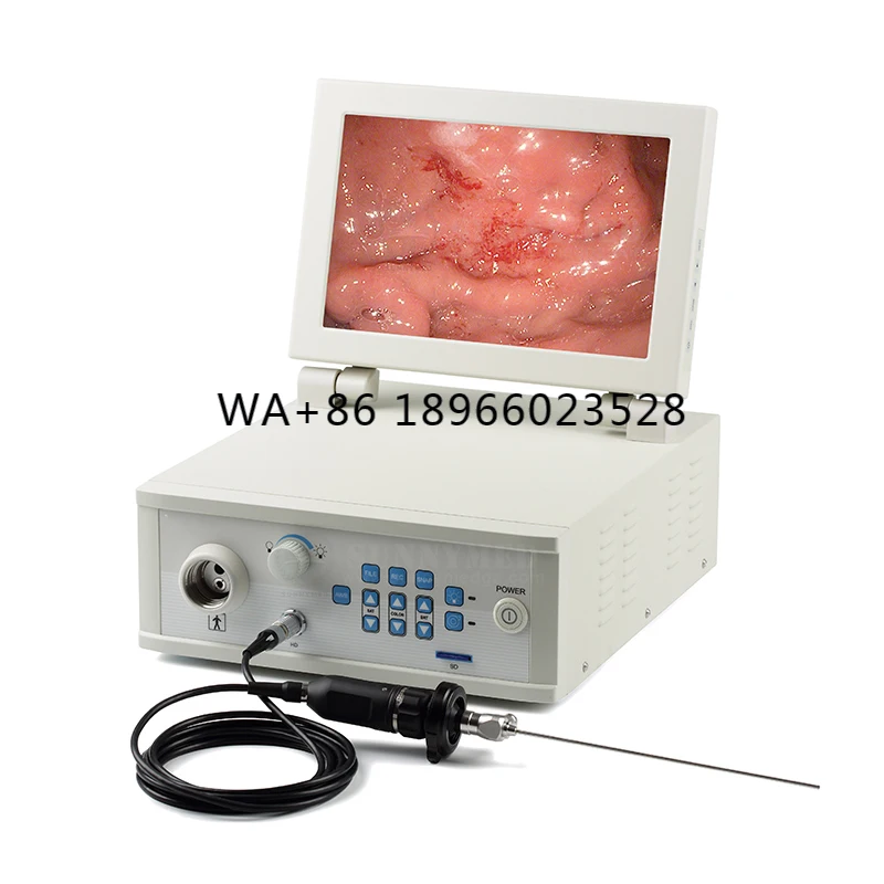 SY-P033 Guangzhou medical endoscope set hospital electronic vet video endoscope