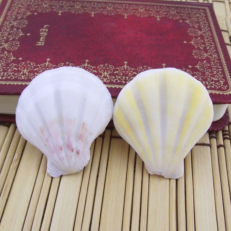 

Thick White Pecten Shell Natural Conch Wall Sticker Aquarium DIY Home Decor Aquarium Base Wind Chime Accessory