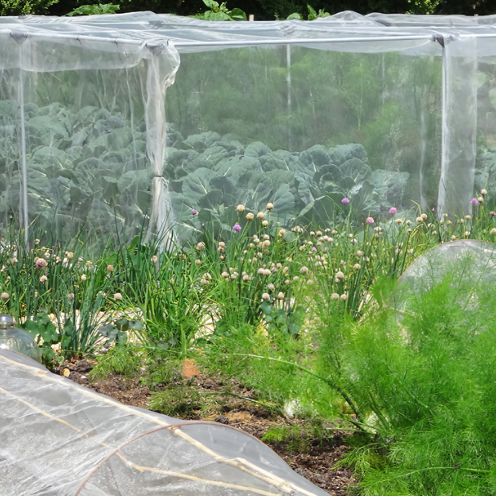 

Anti-Bird Netting Garden Mesh Uv Resistant Lightweight Plant Protection Cover For Vegetables Fruits Trees Insects