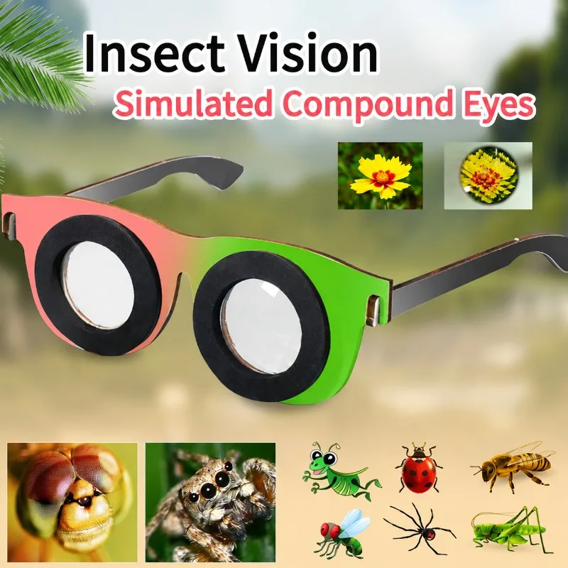 Student Science Experiment Kaleidoscope Insect Compound Eye DIY Material Kit Kids Handmade Invention Accessory Explore Optical