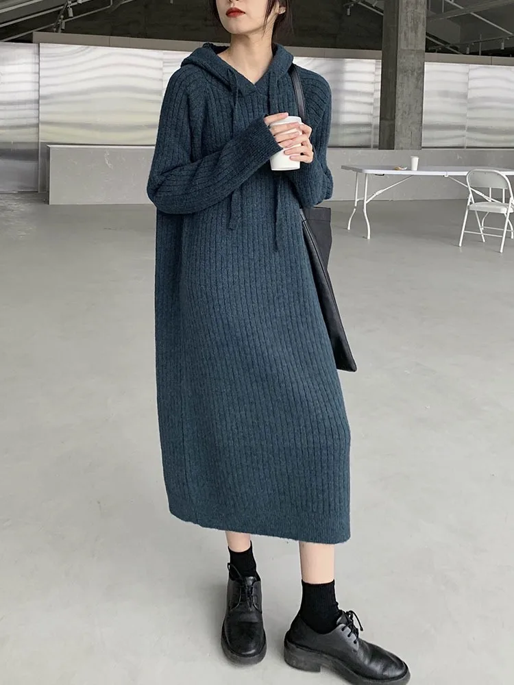 Coréen Sle automne hiver à capuche tricoté Dr ample mi-long sur le genou couche de Base femmes Faion pull Dr