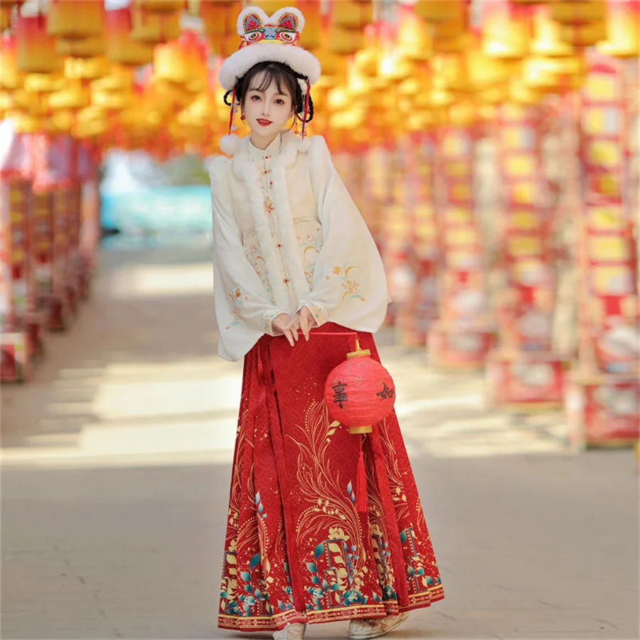 Saia de rabo de cavalo chinesa hanfu, elegante vestido floral estampado princesa, estilo Ming, veste tradicional, outono e inverno